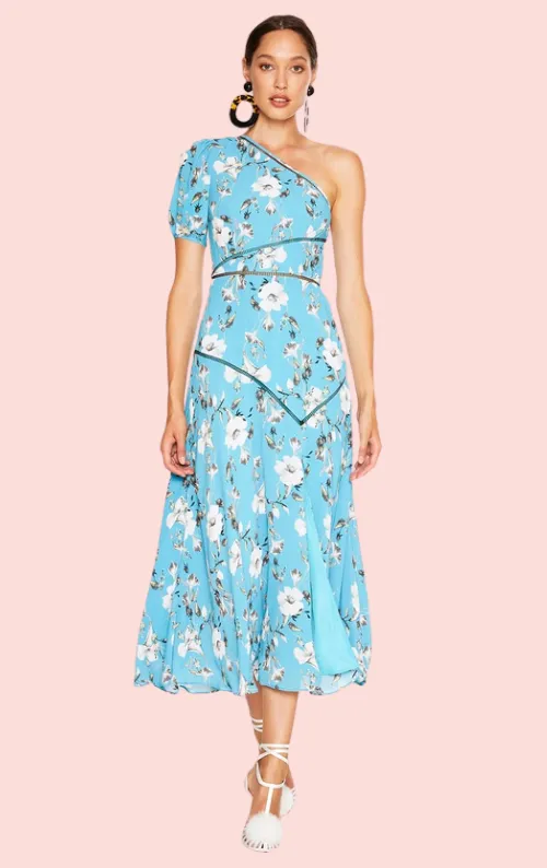 Cannes Midi Dress - Blue Valentine Floral