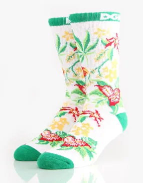 DGK Skateboards Vacation Socks, White