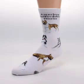 FBF American Staffordshire Terrier Poses Sock