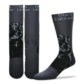 FBF Realistic Black Labrador Sock