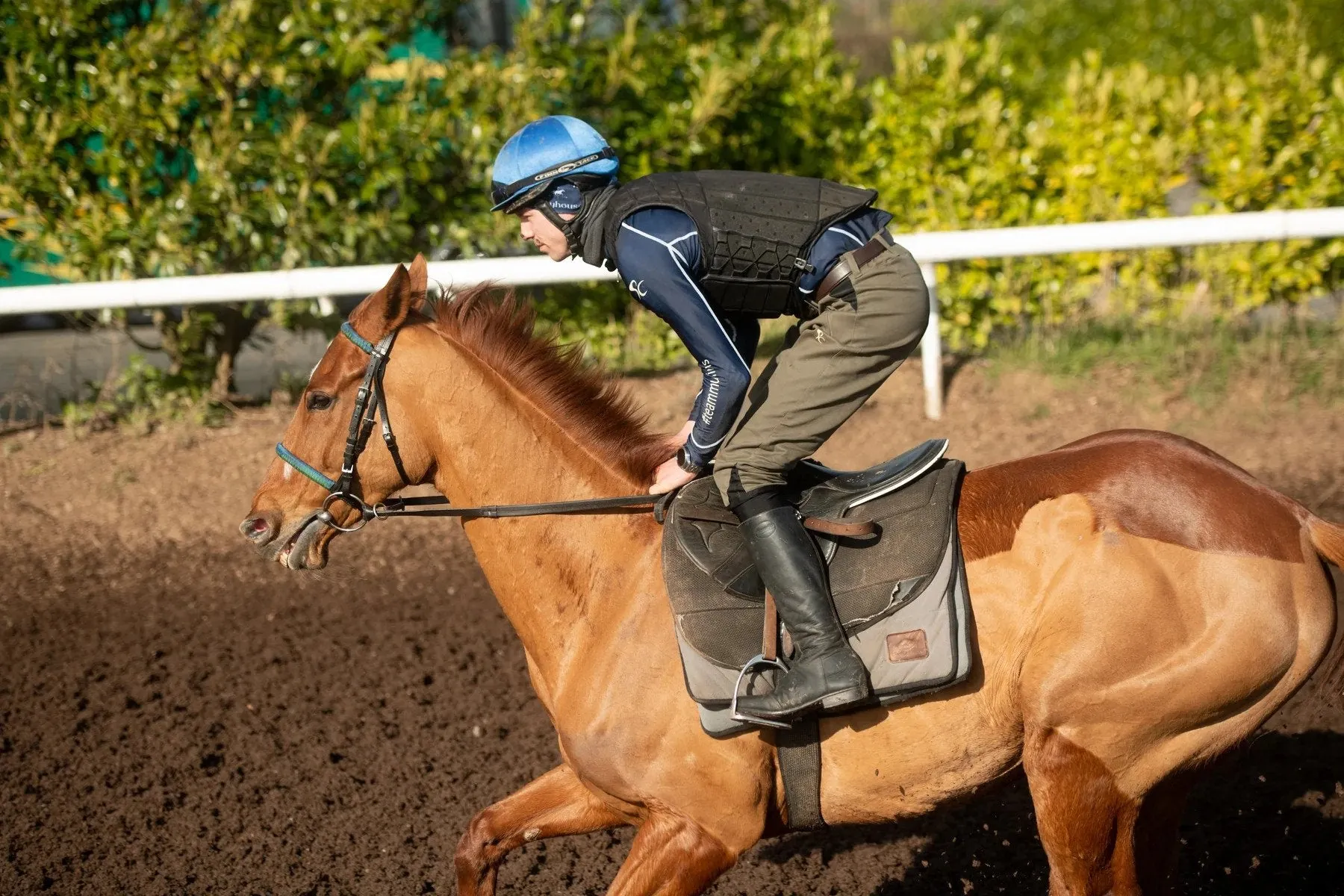 PC Racewear Duvall 140 Summer Riding Breeches - Unisex