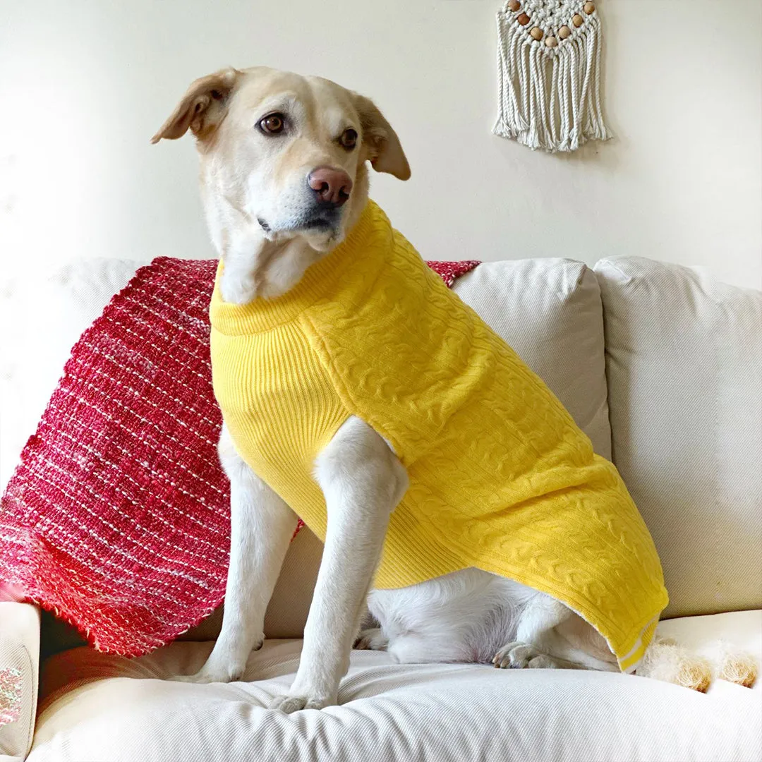 Sun-kissed Yellow Knit Sweater