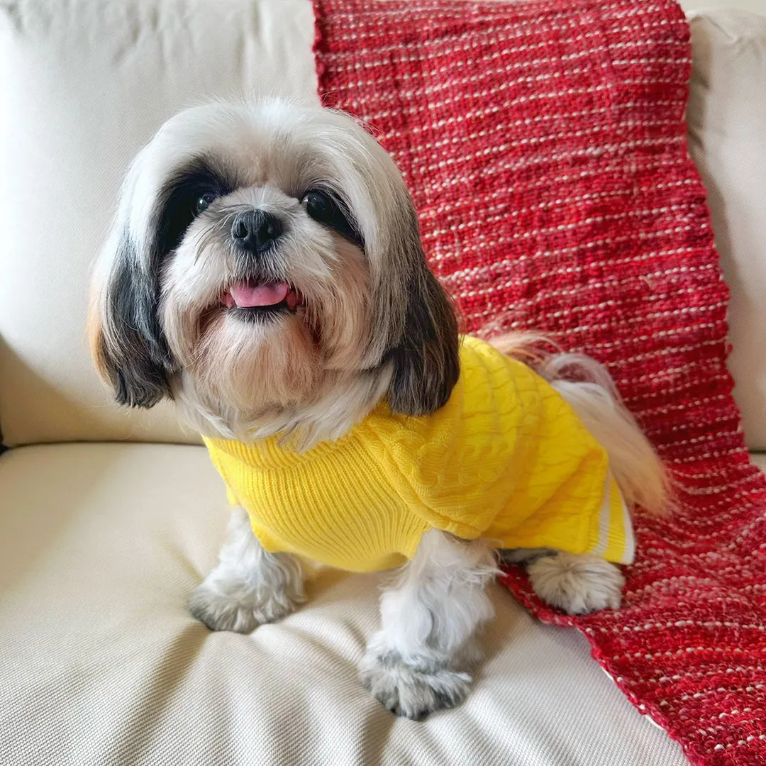 Sun-kissed Yellow Knit Sweater