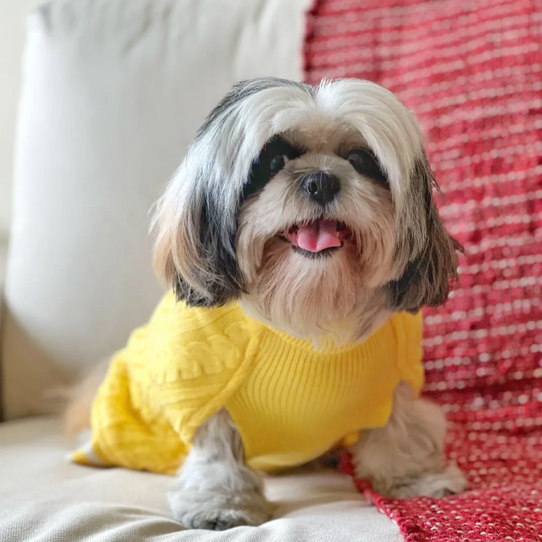 Sun-kissed Yellow Knit Sweater