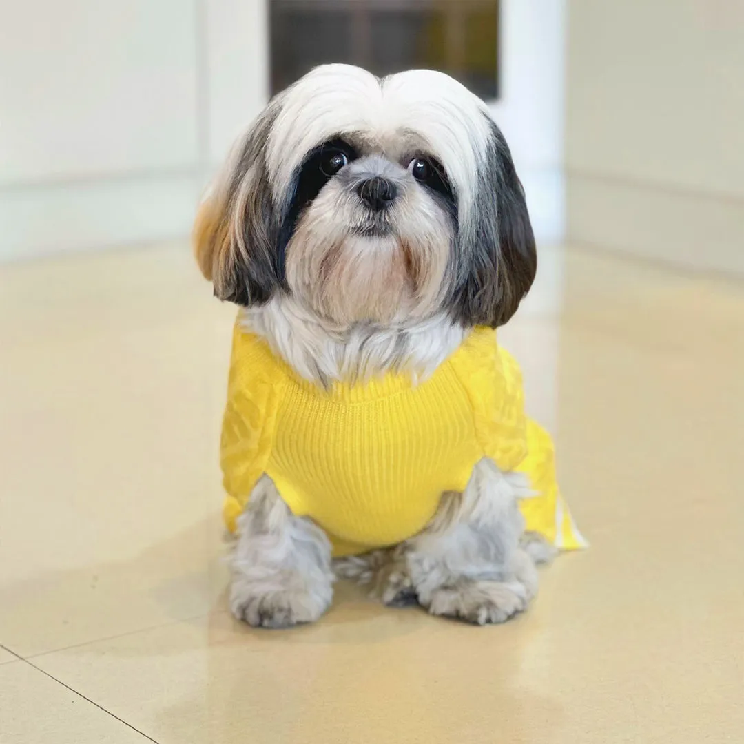 Sun-kissed Yellow Knit Sweater